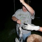 fish_at_afton